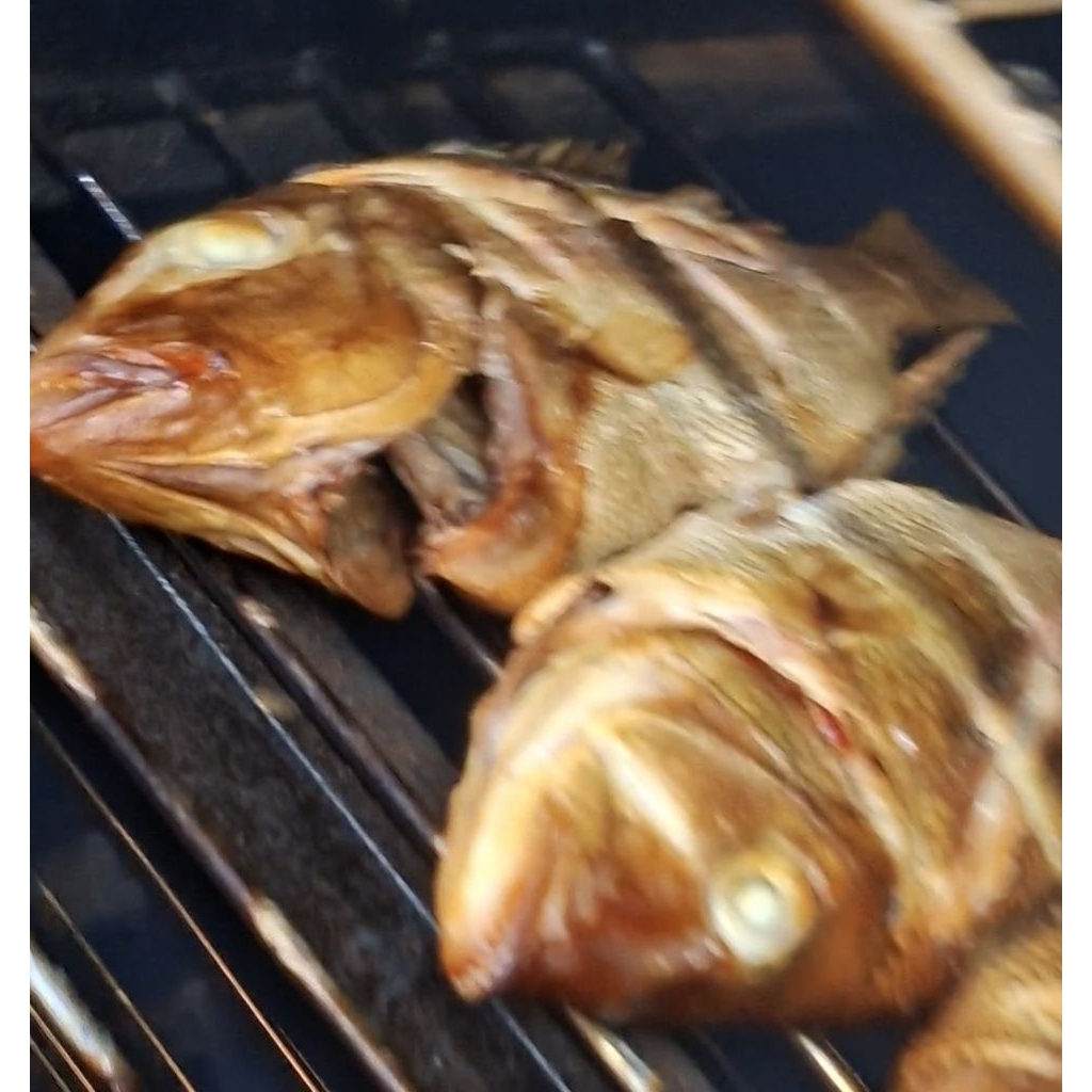 IKAN ASAP KAKAP SEGAR ½kg (isi 1-2 ekor)