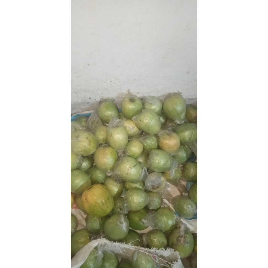jambu merah 1 kg