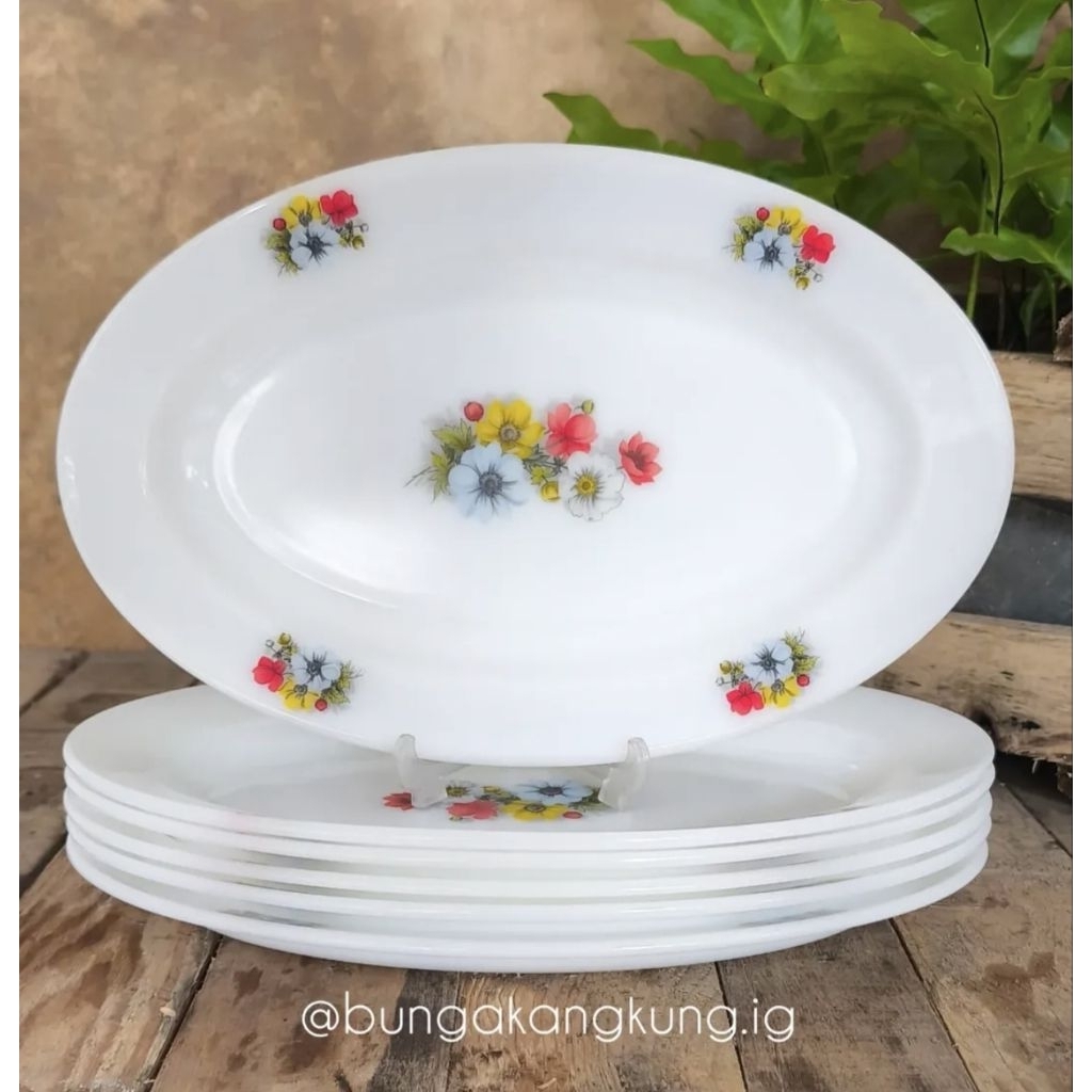 Oval plate lodor Arcopal France