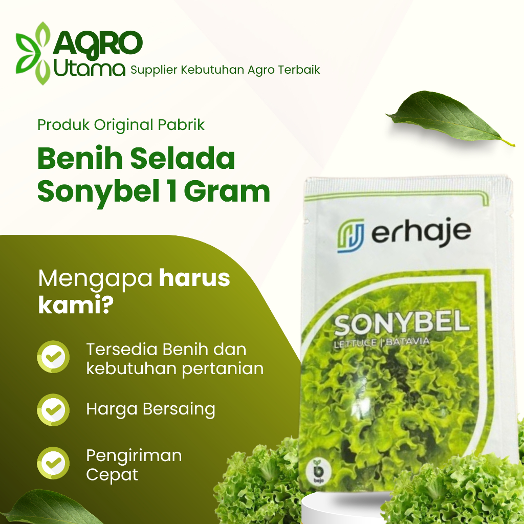 Benih Bibit Selada Sonybel 1 Gram Original Pabrik Pengganti Myrtel Sonibel Bejo Seed Laris
