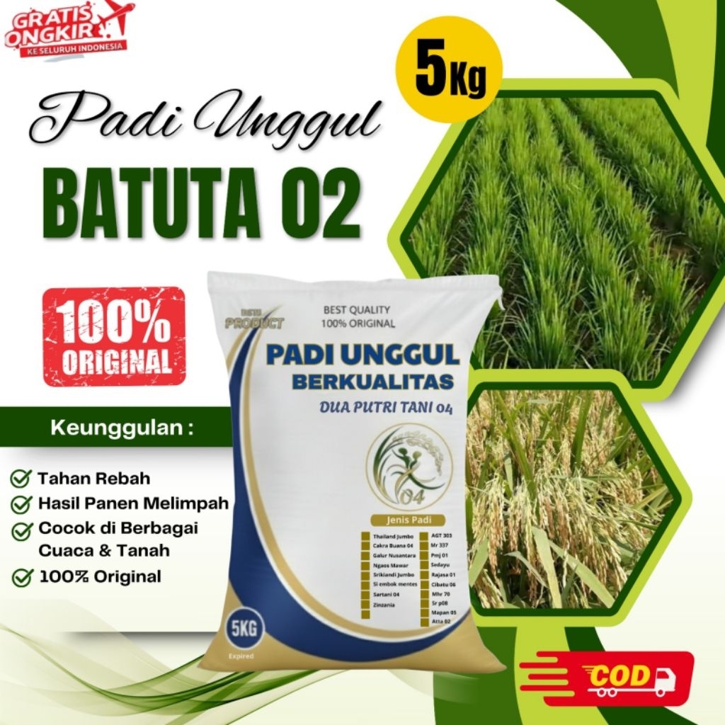 Benih padi unggul BATUTA kemasan 5Kg