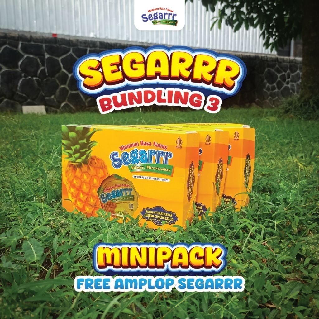 Segarr Minuman Sari Nanas Segarrr Bundling 3 Minipack 120 ml Free Amplop- Sari Nanas Segar Asli Blit