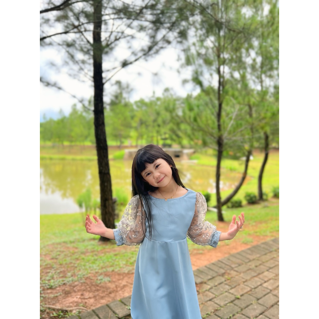 Ameera Dress