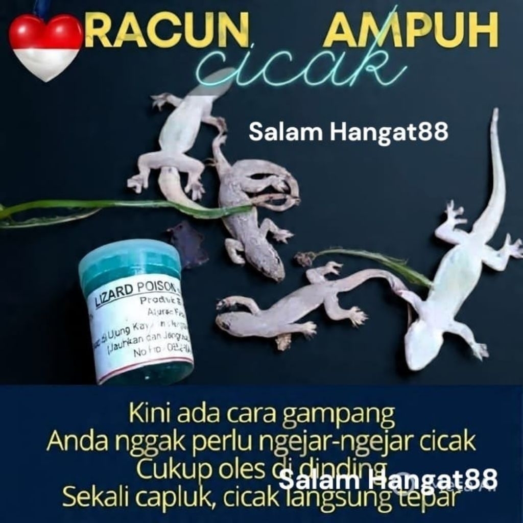 NEW RACUN CICAK HERBAL LIZARD POISON ORIGINAL 100%