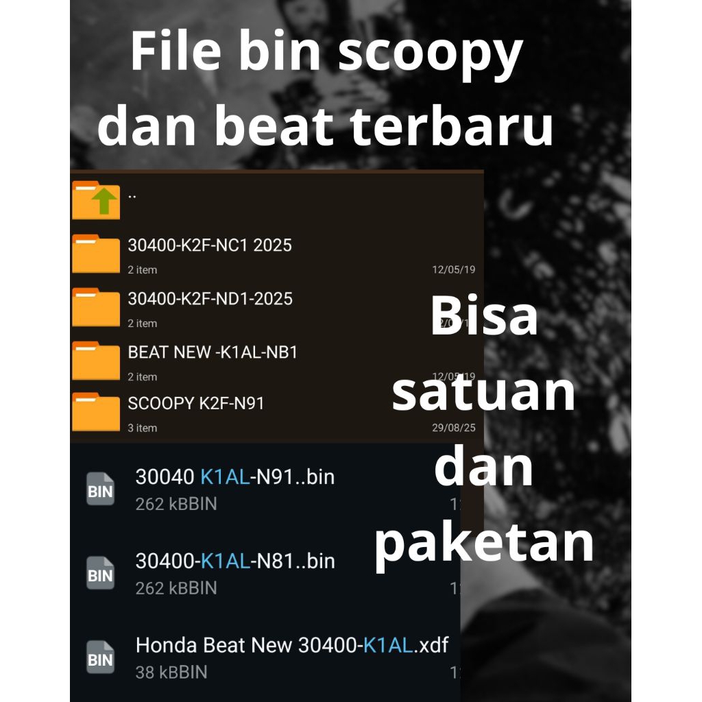 file bin xdf scoopy beat new