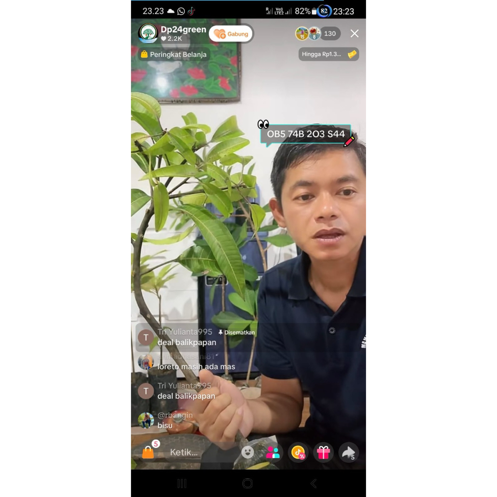 fresh cangkok mangga yuwen 6