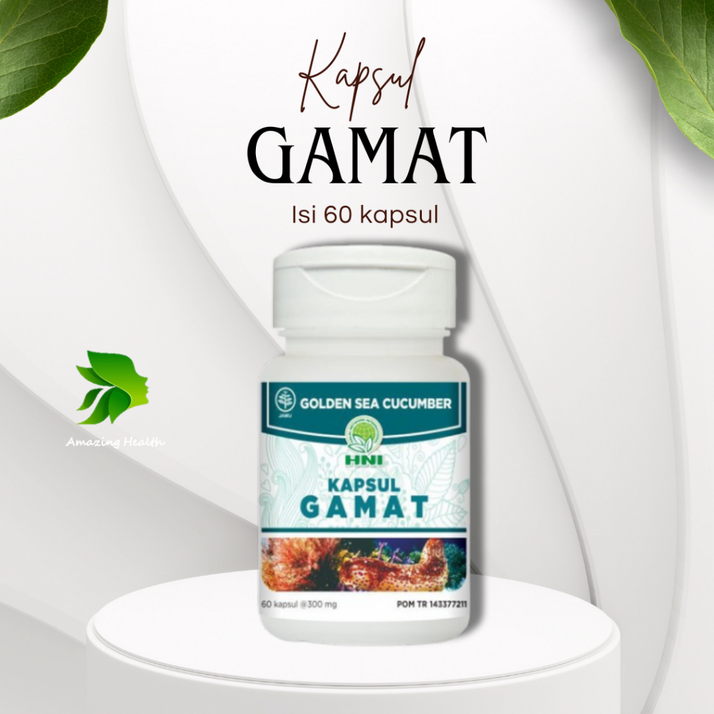 Kapsul Gamat Atasi Nyeri Sendi HNI HPAI - Amazing Health