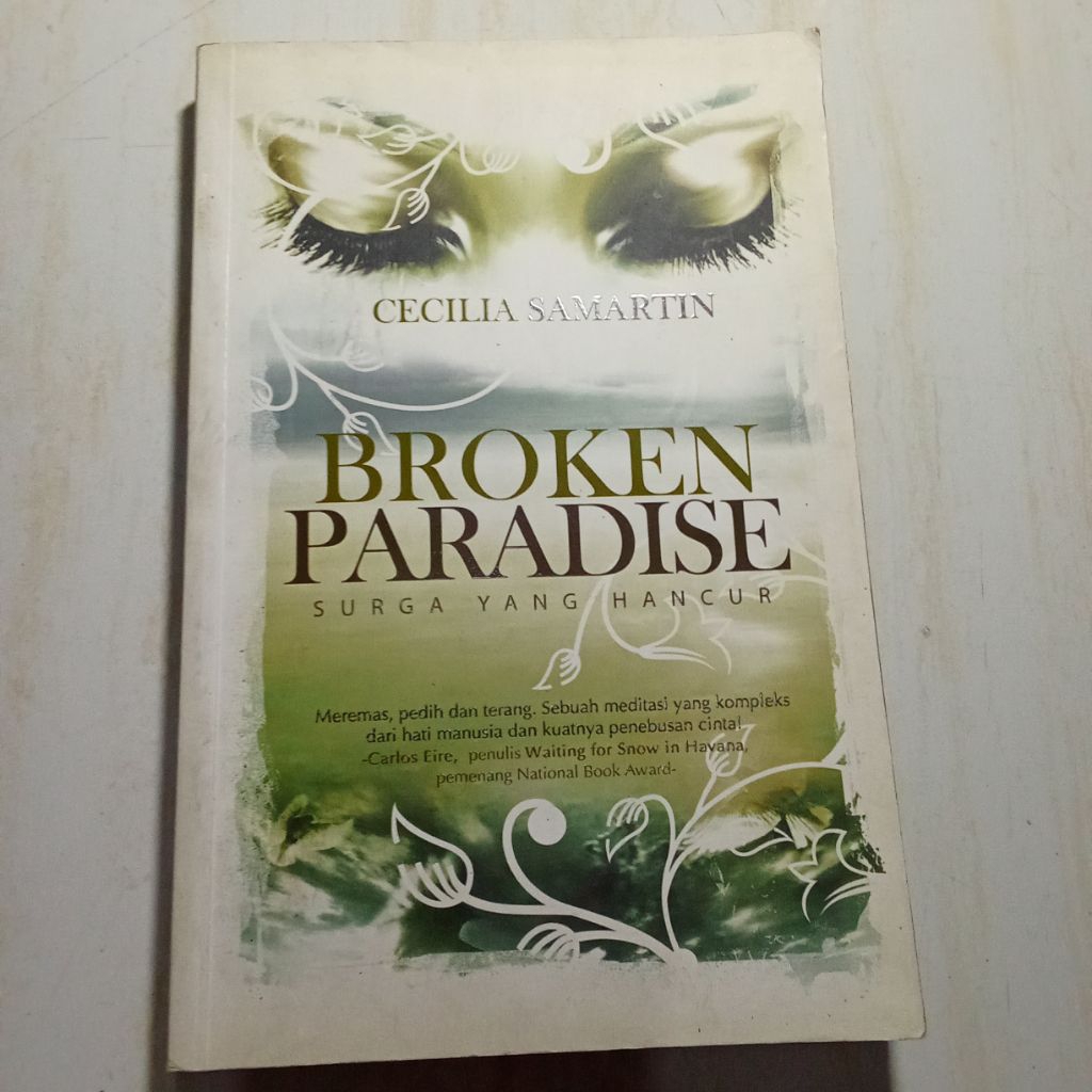 NOVEL BROKEN PARADISE