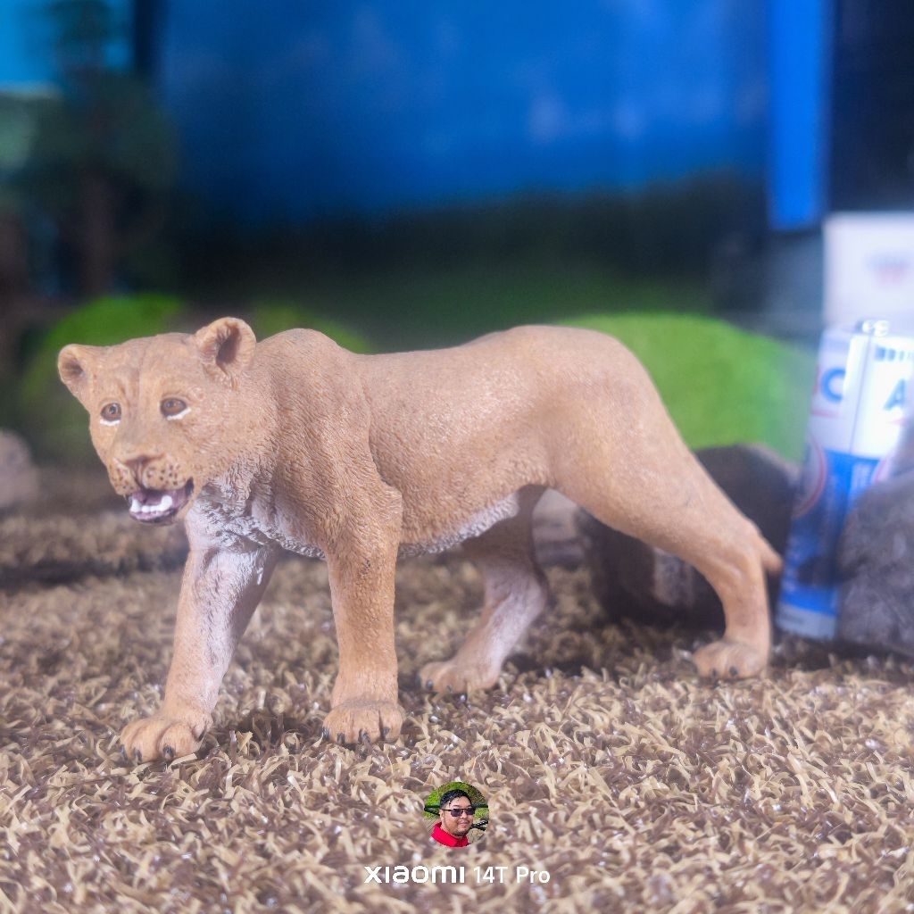 Schleich lioness figure