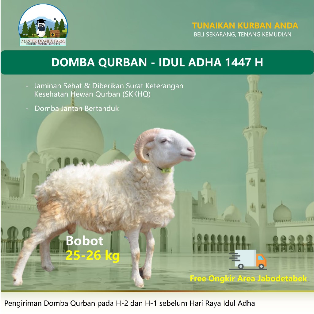Qurban Domba Murah Idul Adha Kurban Kambing Berat 25kg Garansi Sehat Gratis Ongkir Jabodetabek