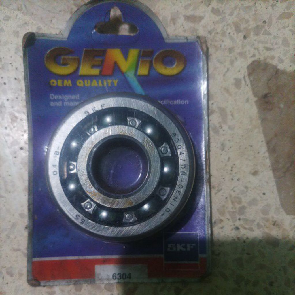 6304 Genio skf
