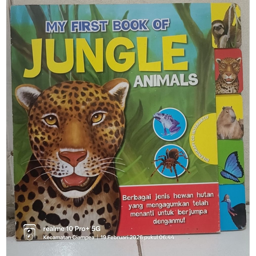 Boardbook my first book of jungle animals