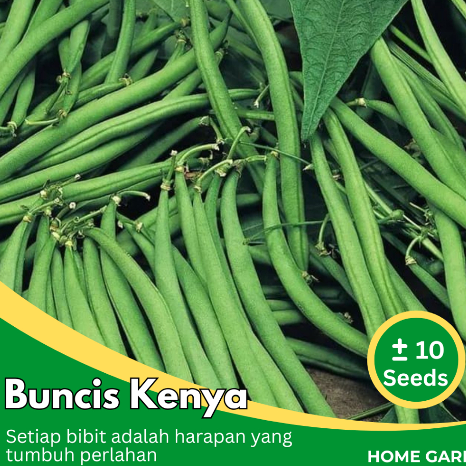 Alamtani - Benih Biji Buncis Baby | Buncis Kenya | Buncis perdu Baby Bean Seeds