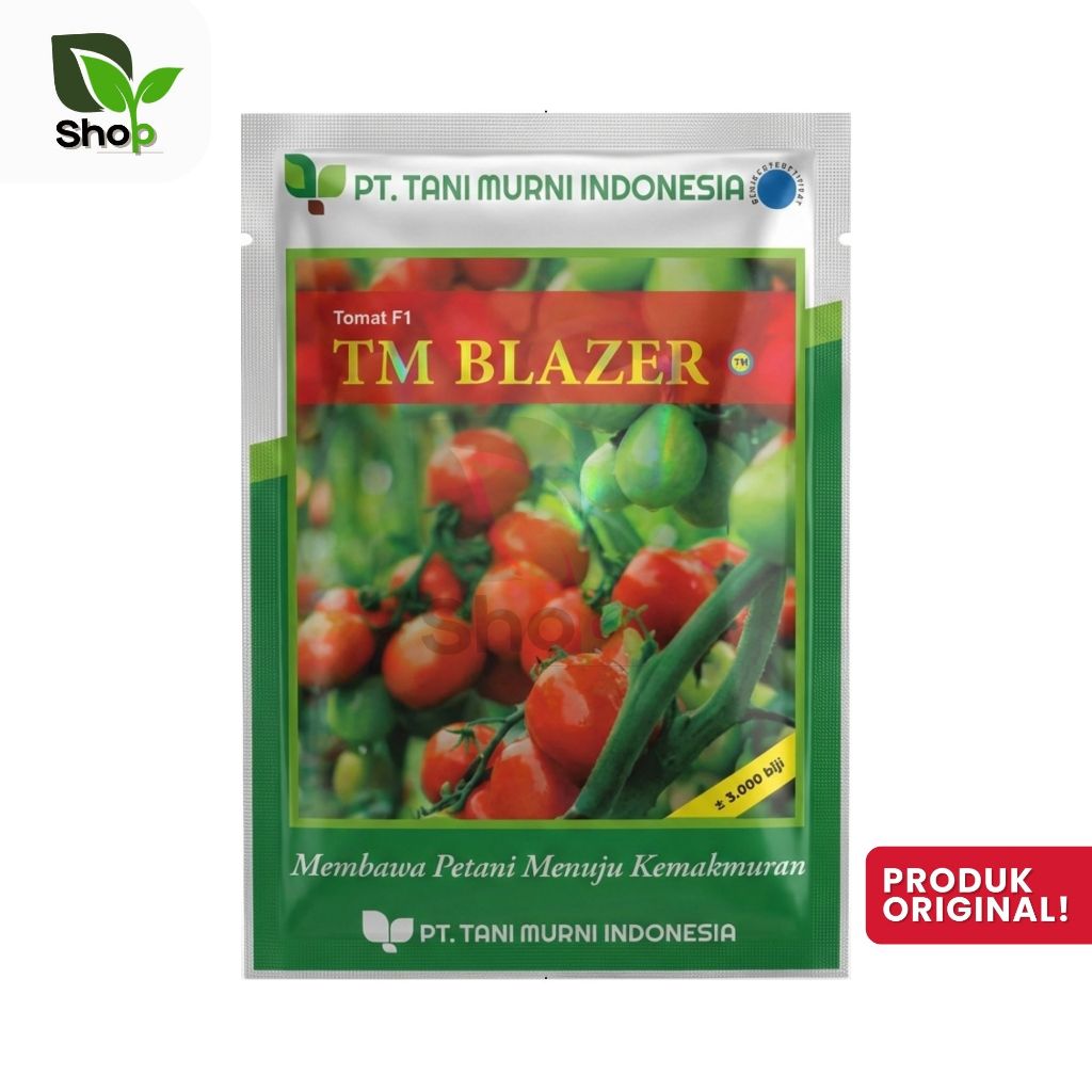 Benih Tomat TM Blazer 3.000 butir