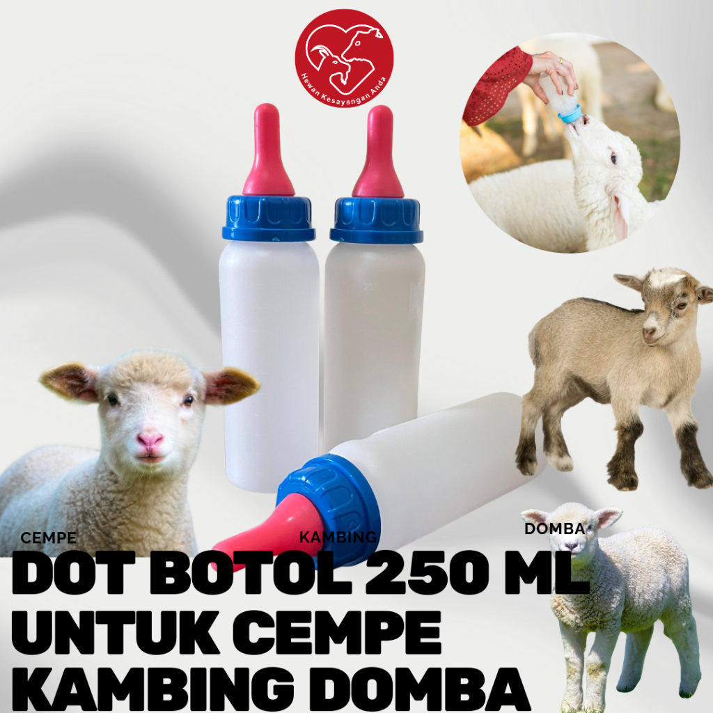 DOT CEMPE BOTOL DOT KAMBING PUTIH BIRU BOTOL SUSU 250 ML KAMBING BOTOL SUSU LENGKAP DENGAN DOT