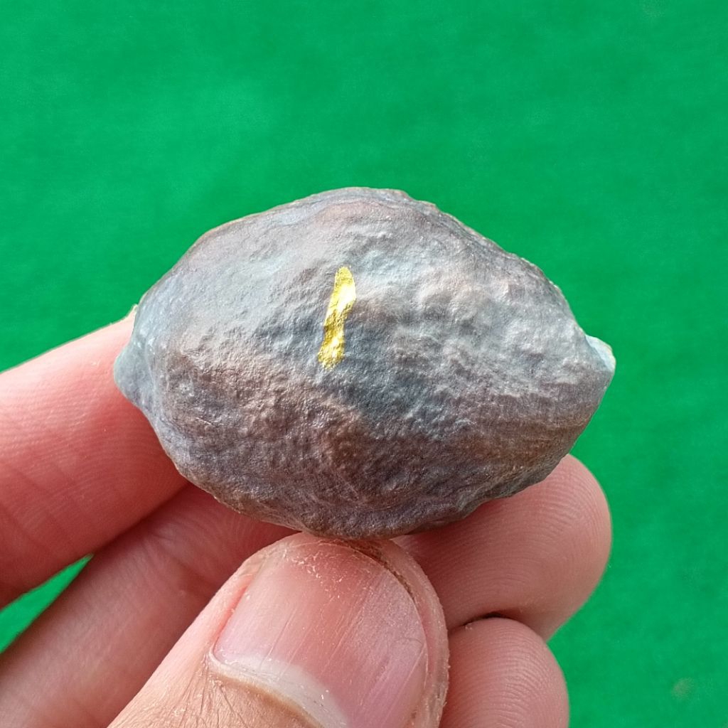 Muncang Adu Pait x Softex kode 1