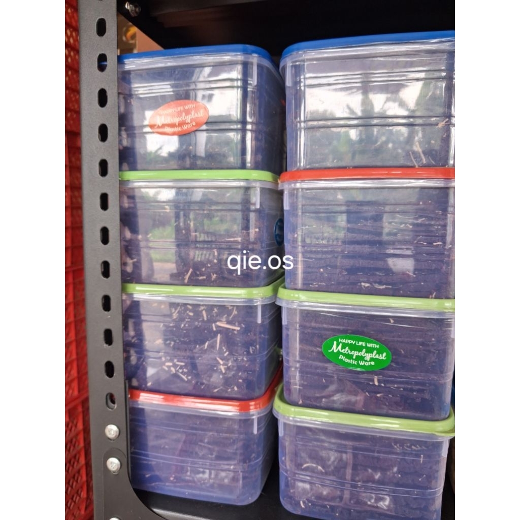 kue kering brownies toples coklat