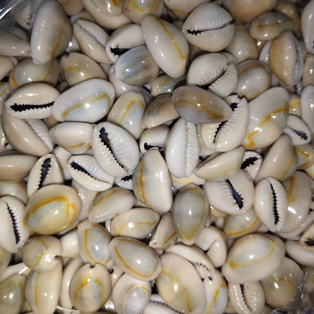 100gram / kuwuk abu / kuwuk mainan / kuwuk biji bekel