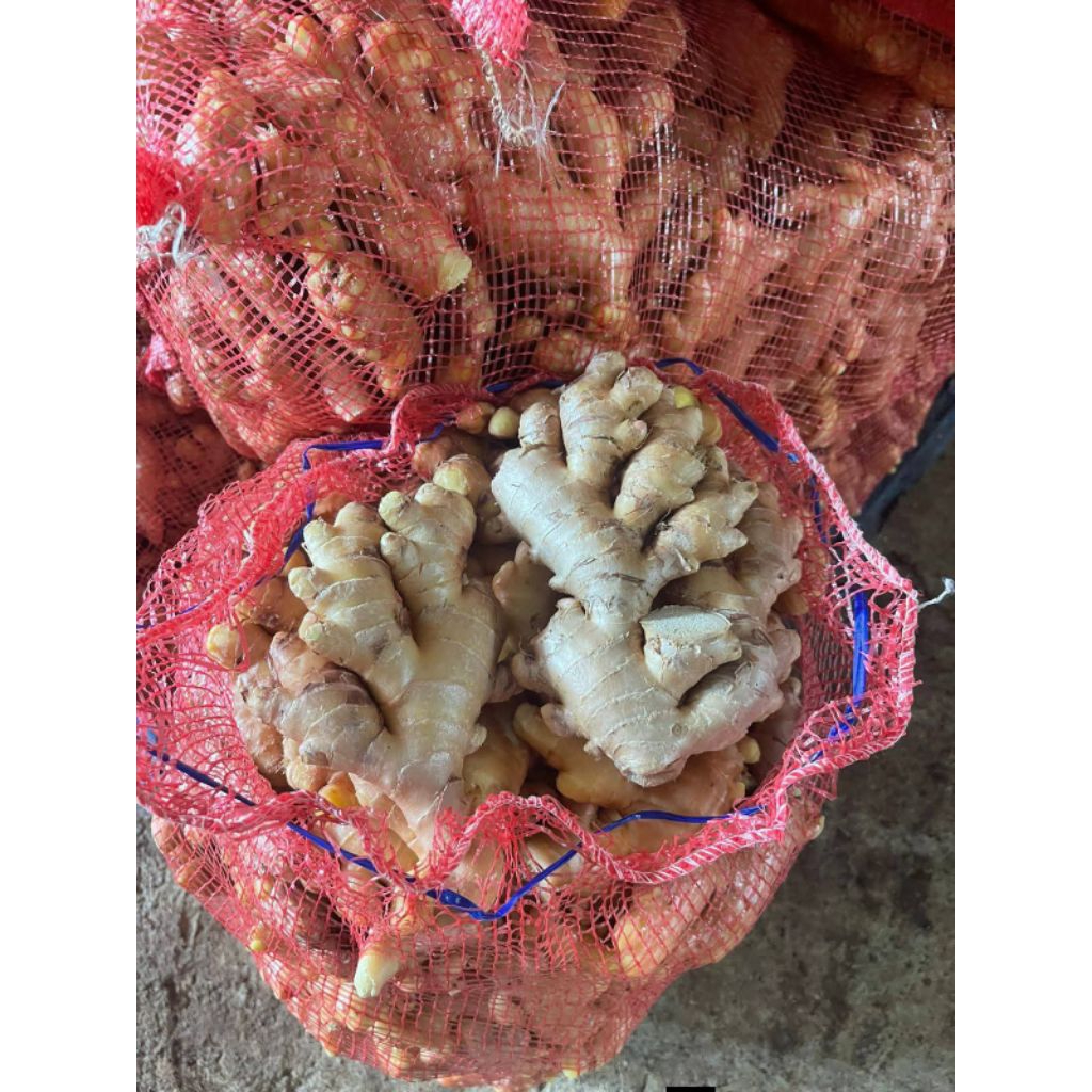 Jahe super 1kg - Jahe gajah - Jahe super rimpang  - Jahe  - Jahe Segar - Jahe gajah super rimpang