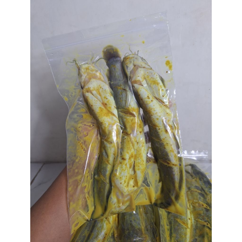 LELE MARINASI BUMBU KUNING 3 EKOR / LELE BUMBU KUNING / LELE SEGAR BUMBU KUNING