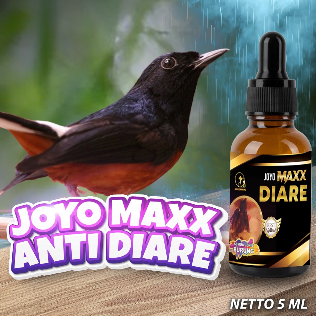 OBAT BURUNG DIARE | VITAMIN BURUNG | OBAT MENCRET | OBAT BERAK CAIR | MAXX ANTI DIARE 5 ML