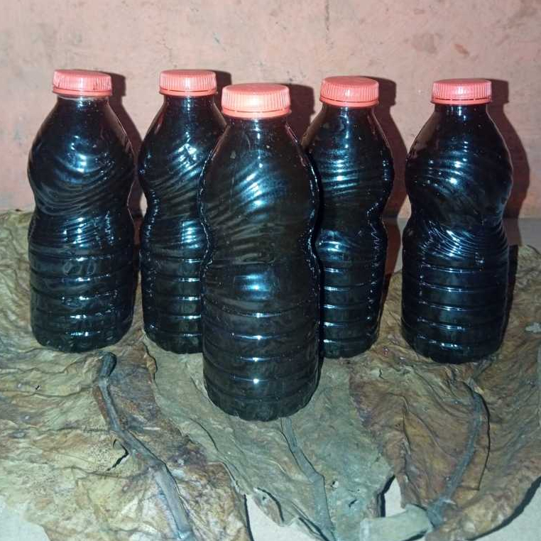 [ 250 ML ] Air Daun Ketapang Asli Super Pekat Untuk Perawatan Ikan Channa Cupang