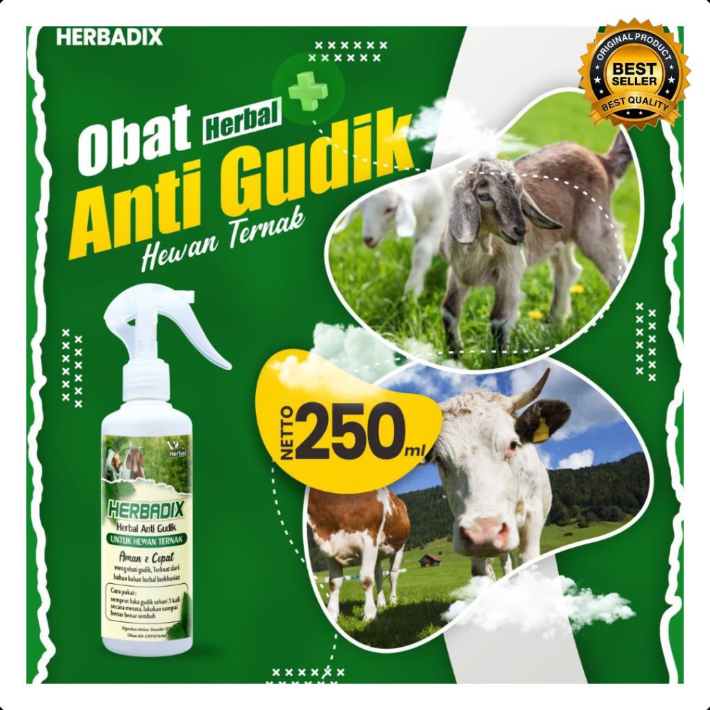 AMPUH  Obat Kudis Ternak Kambing Tanpa Suntik, Obat Kudis Ternak Kambing Herbal