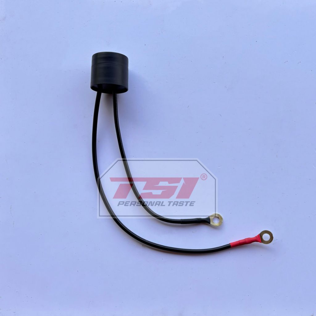 Stabilizer aki motor