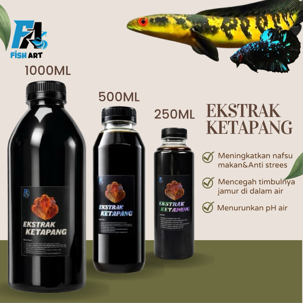 Fish Art • Ekstrak Ketapang 1000ml Mempercepat Proses Mutasi Warna Ikan Cupang Dan Ikan Channa