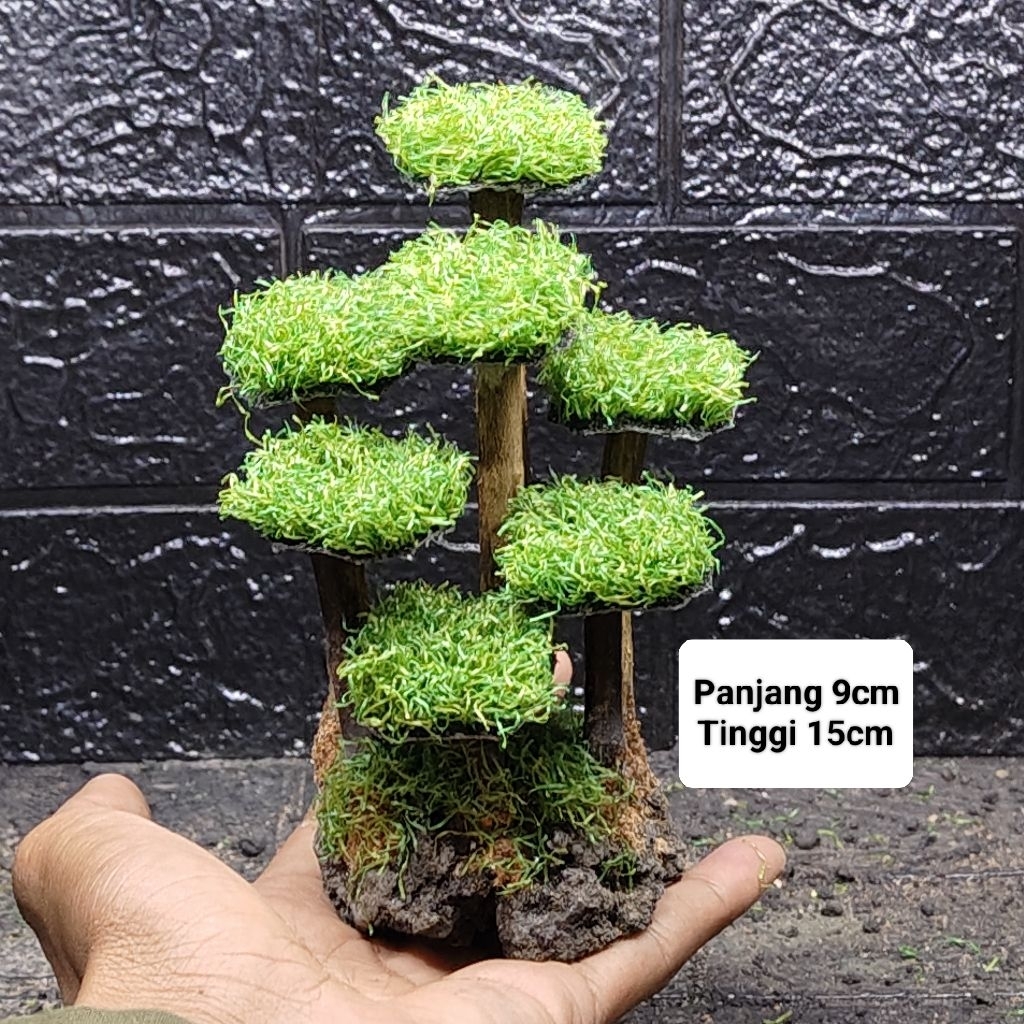 bonsai aquascape sintetis
