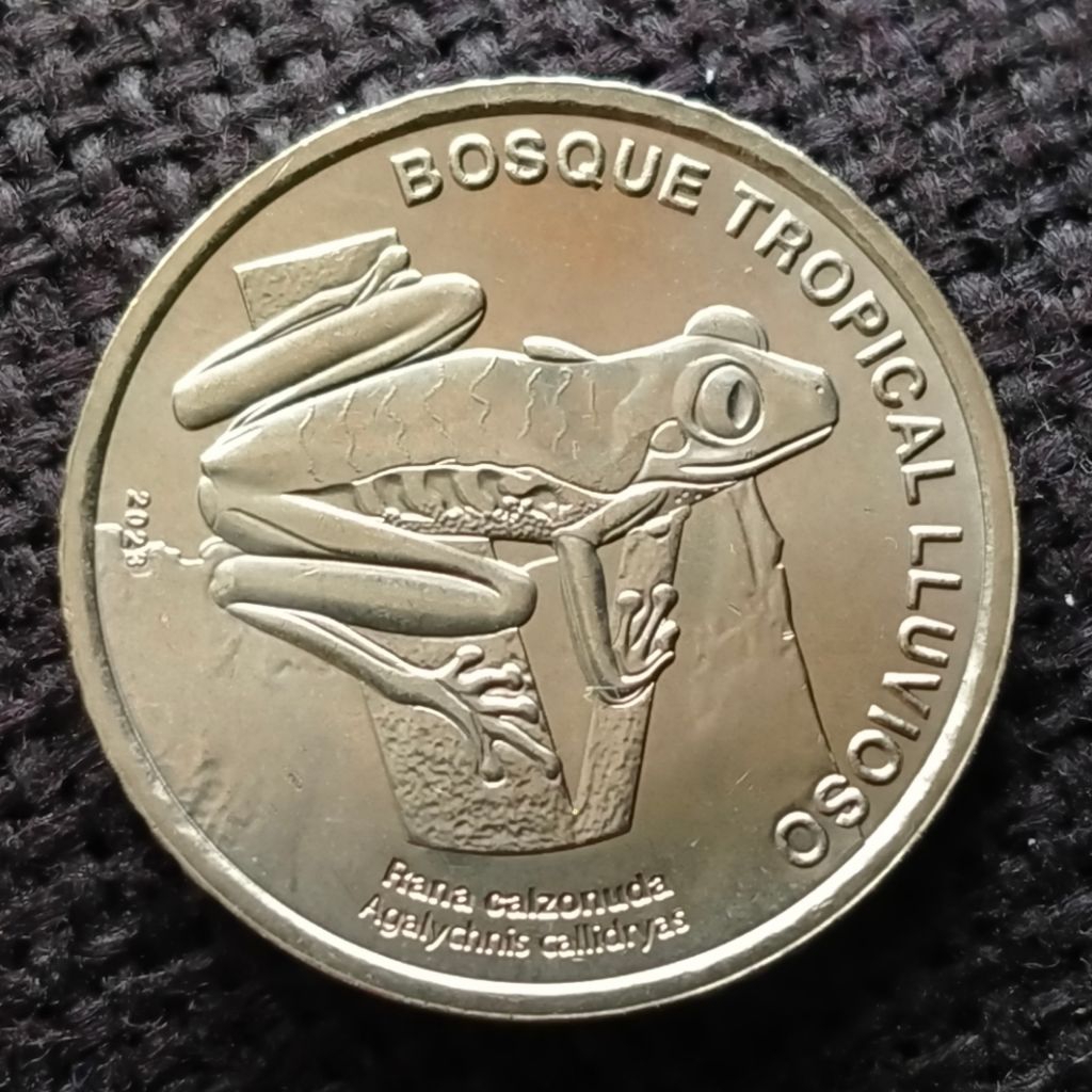 Koin Costa Rica 50 Colones Katak 2023 Commemorative