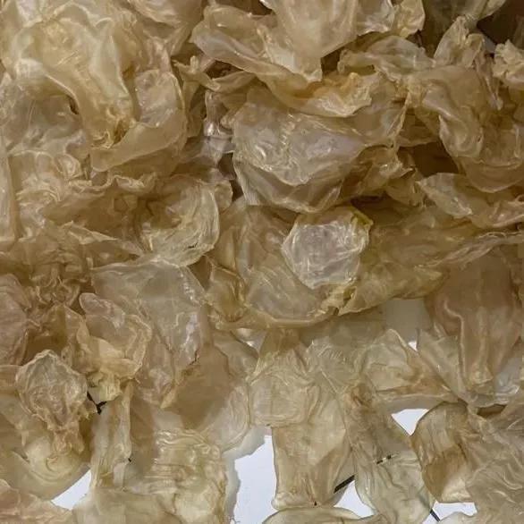 Hipiau Kakap Putih Kering Super Berkualitas Size L / YI PHIAU / Hupio / Hipiao Perut Gelembung Ikan