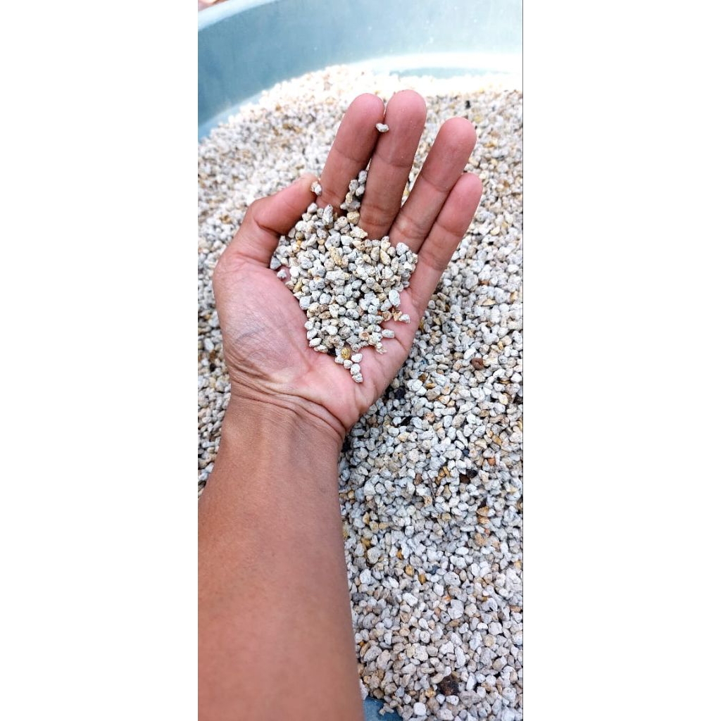 PUMICE 20 LITER - PUMICE BATU APUNG BERSIH