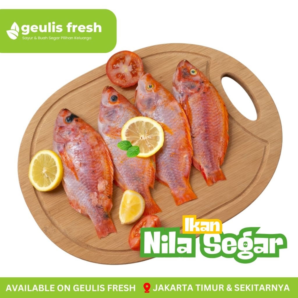 Ikan Nila Segar 1kg & Ikan Nila Siap Goreng 500gr | Ikan Segar Fresh Jakarta Timur Geulis Fresh