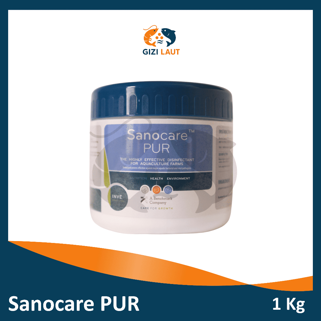 Sanocare PUR INVE 1 Kg