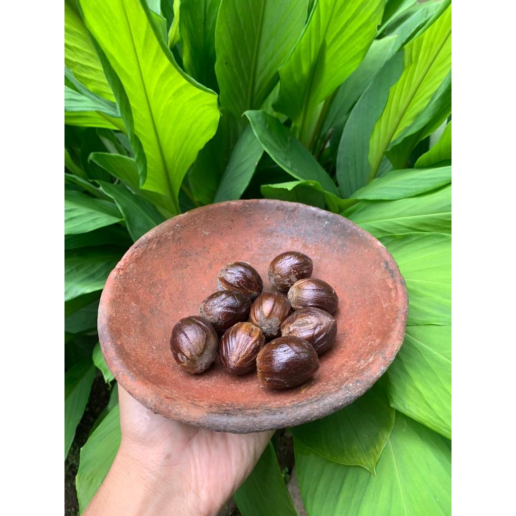 Biji Pala 1 kg Pala Kering Kualitas Ekspor