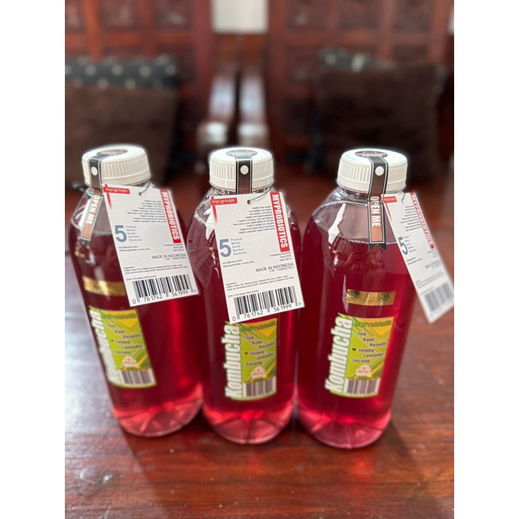 Minuman Kombucha