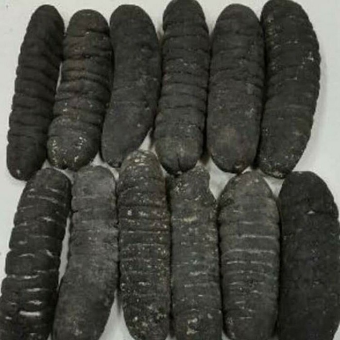 PER EKOR HOISOM KERING TERIPANG BELITUNG SUPER GRADE A - LEBIH TEBAL , KENYAL, DAN LEBIH ENAK