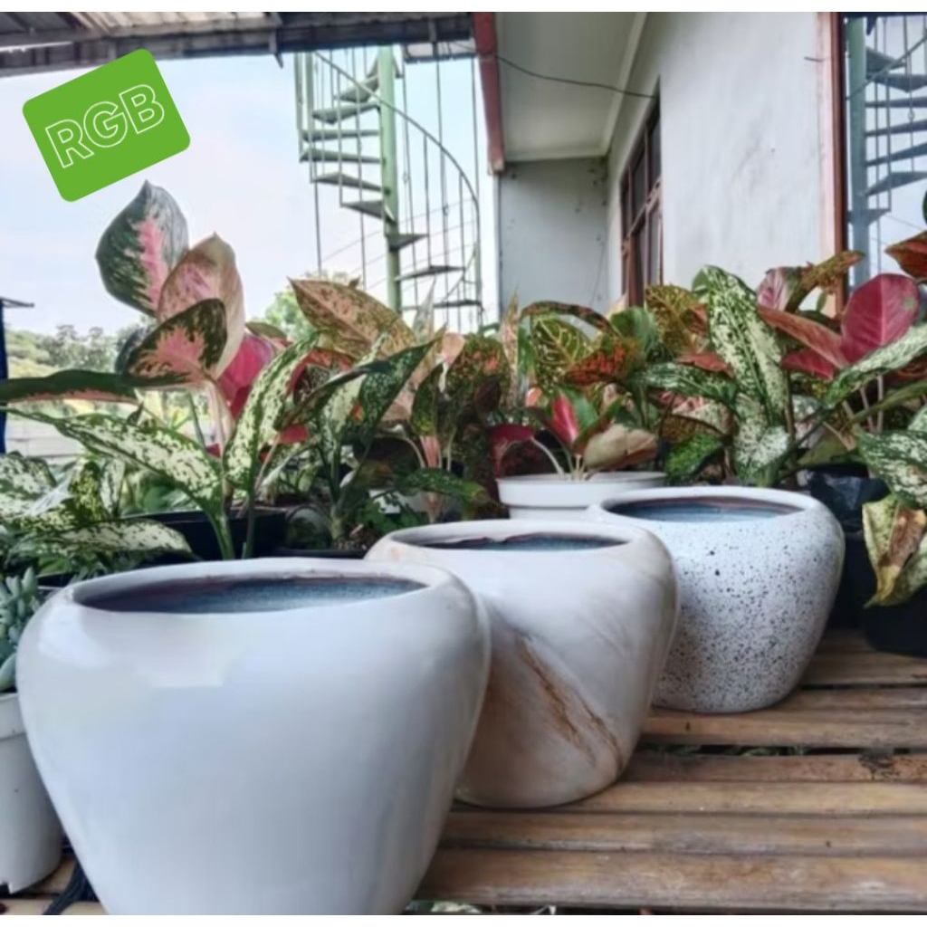 Pot Gerabah Premium Bowly by Rumah Gerabah Bogor | Pot Gerabah Model Donat Putih, Marmer dan Oreo