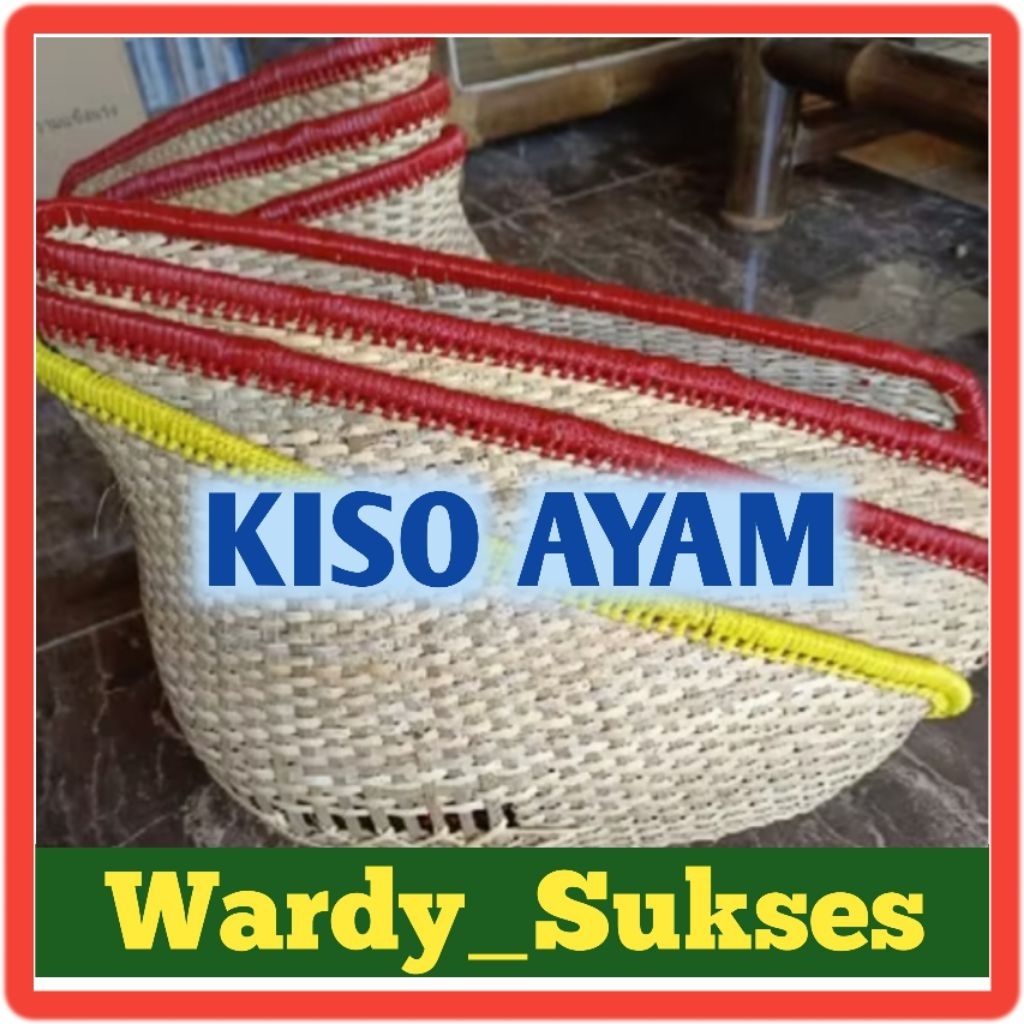 KISO AYAM JAGO / KISO AYAM ROTAN / KISO AYAM