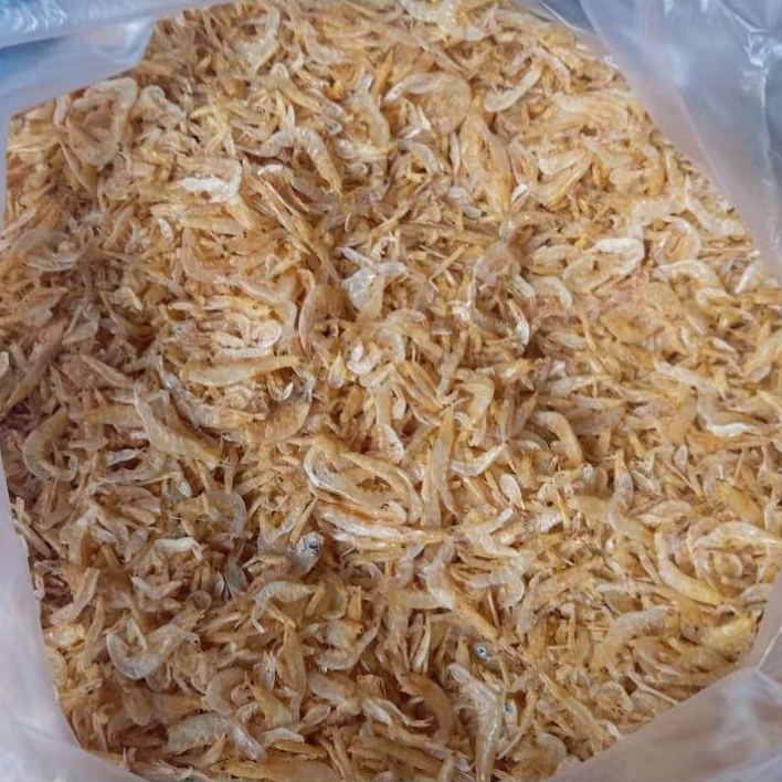 udang rebon kering udang kecil kering