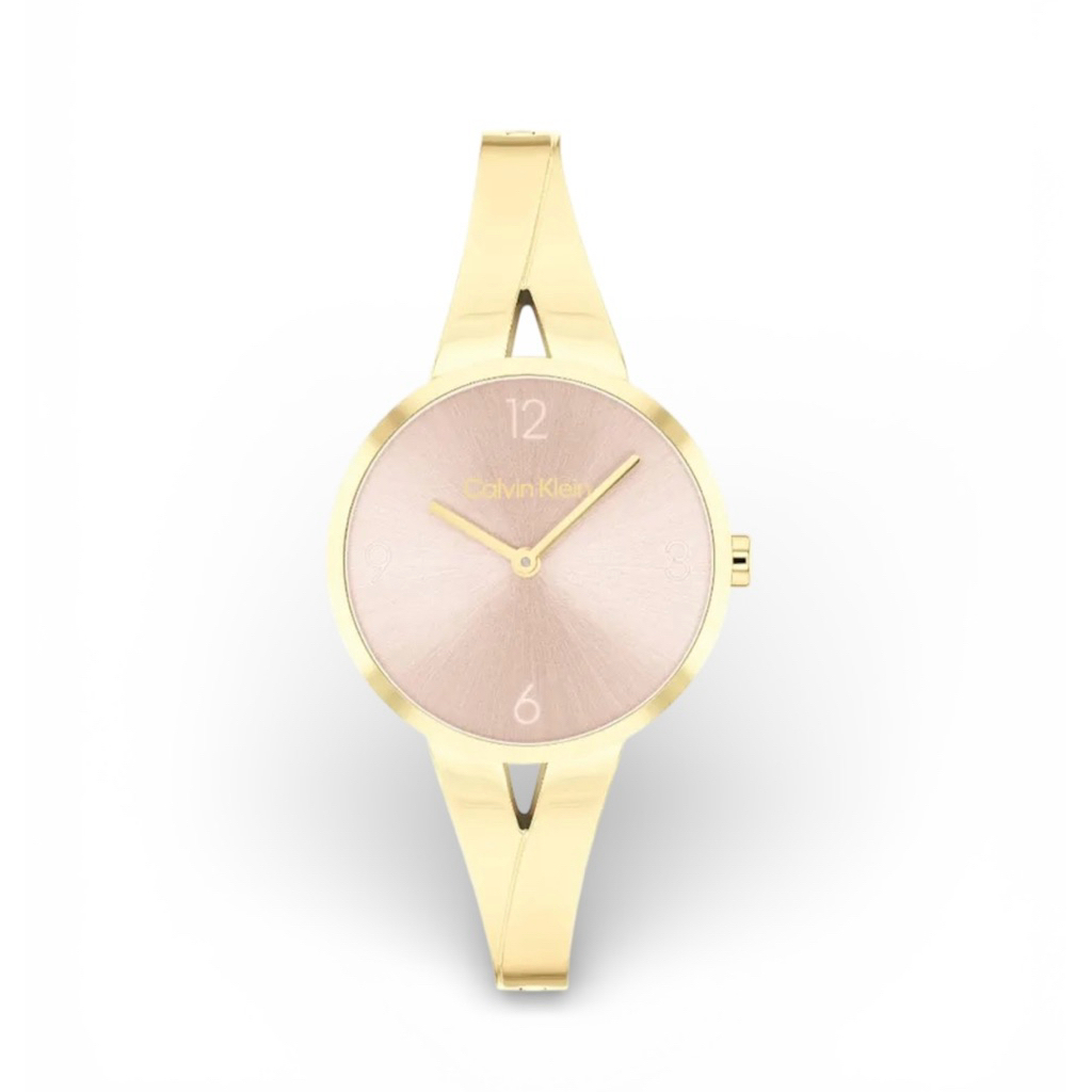 Jam tangan CALVIN KLEIN 25100027 original