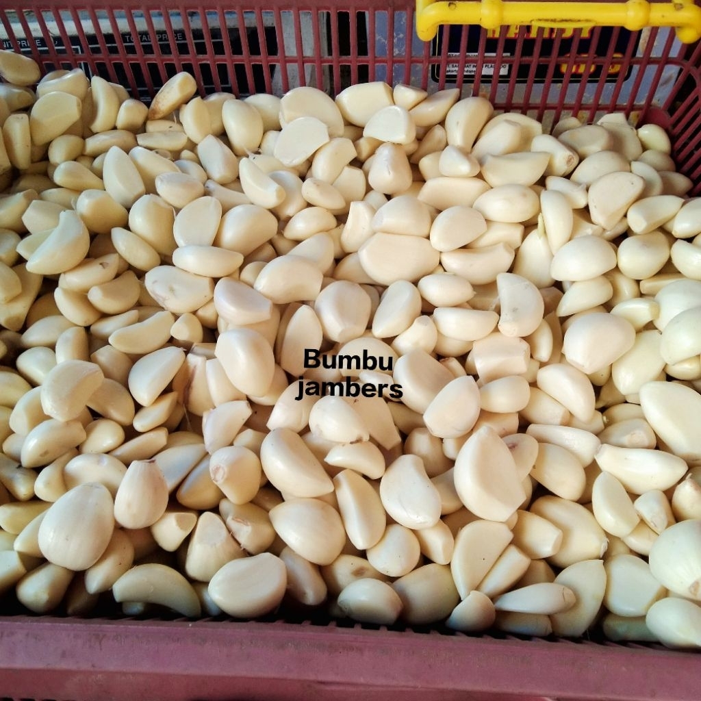 Bawang putih kupas fres/bawang putih kupas pilihan