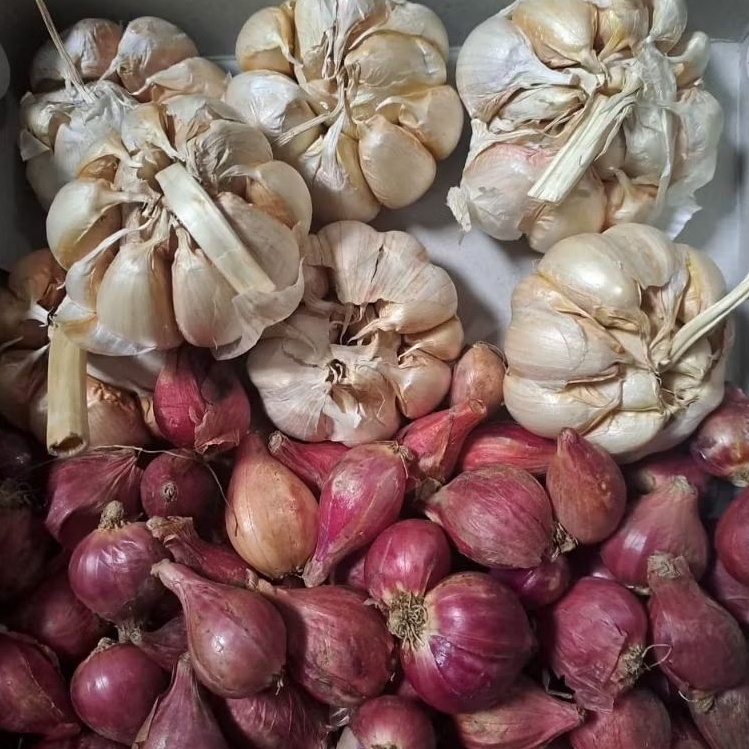 BAWANG MERAH BREBES SUPER MIX BAWANG PUTIH SUPER 1KG