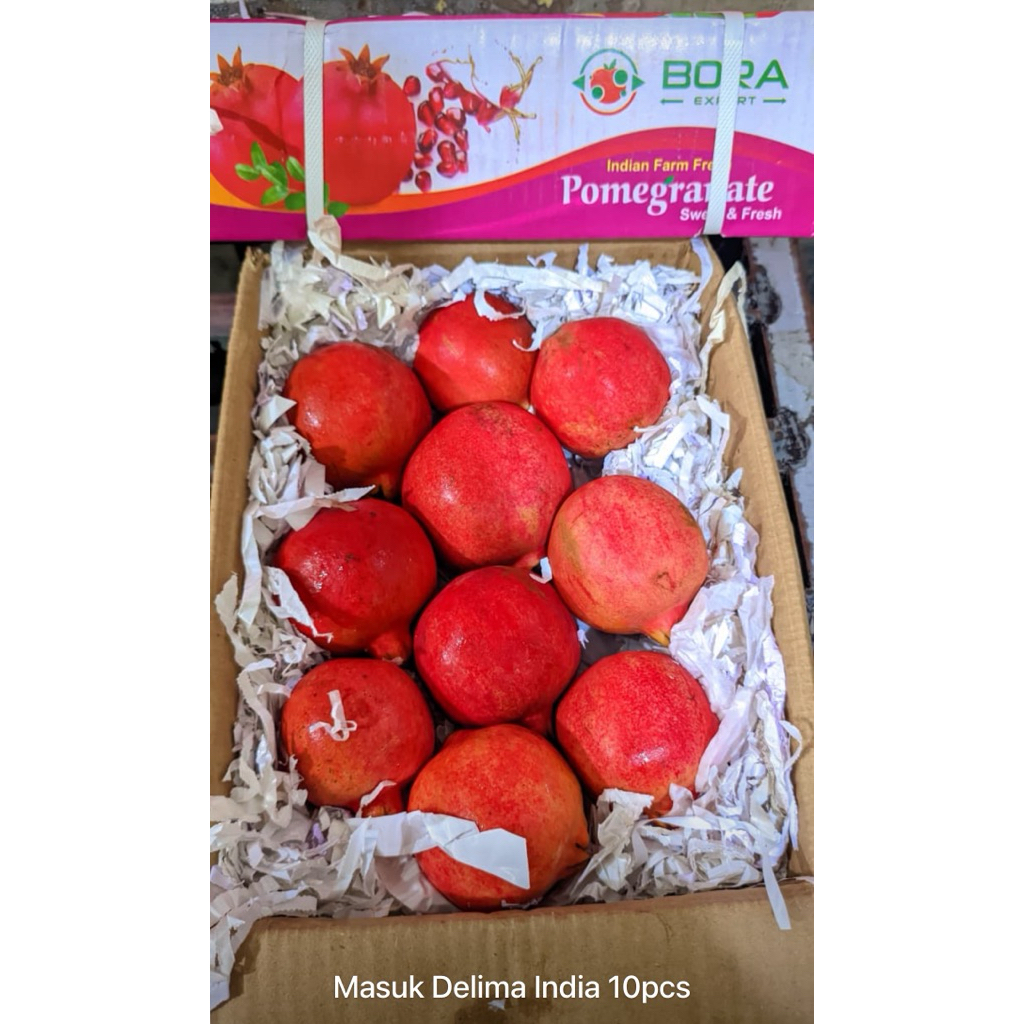 BUAH DELIMA INDIA / POMEGRANATE MESIR KRAT FRESH IMPORT ISI 11 READY DELIMA
