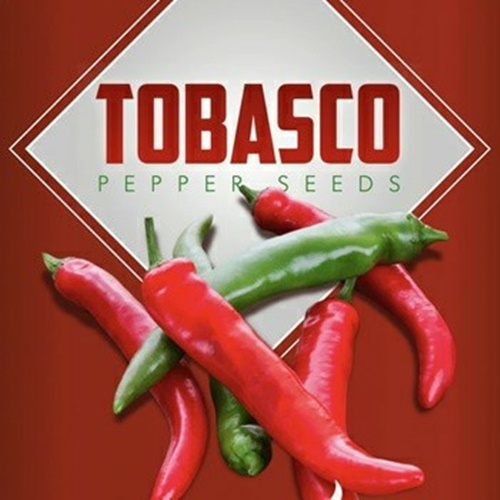 3 Biji Benih PEPPER Tabasco