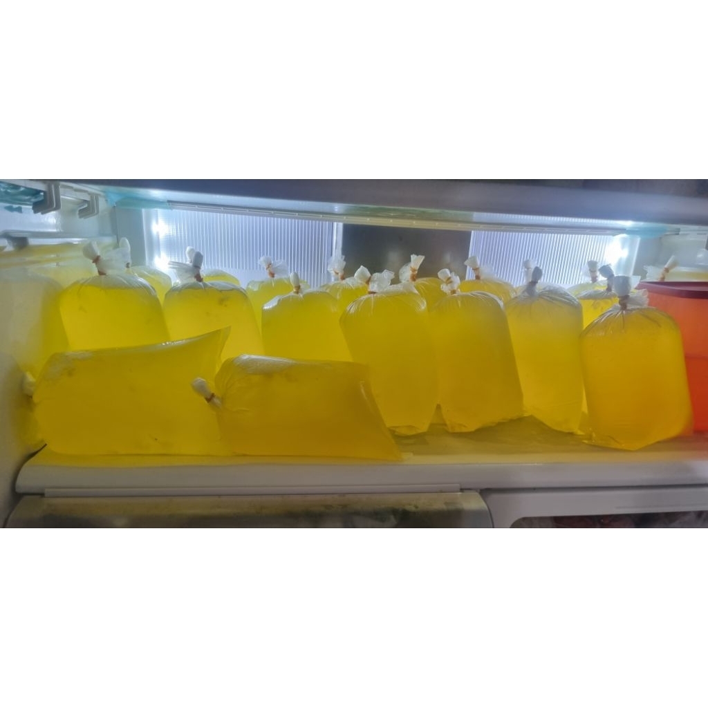 Putih Telur Fresh Mentah