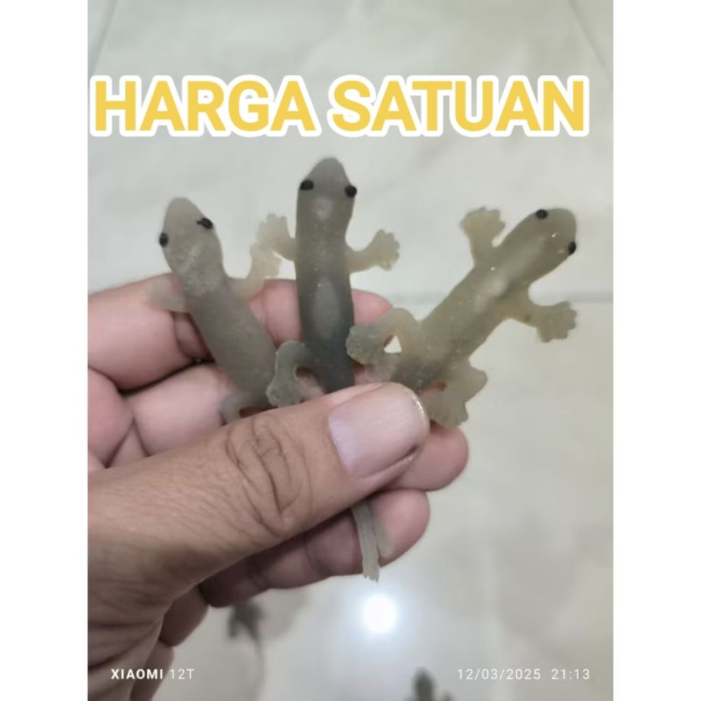 mainan cicak karet reject eceran