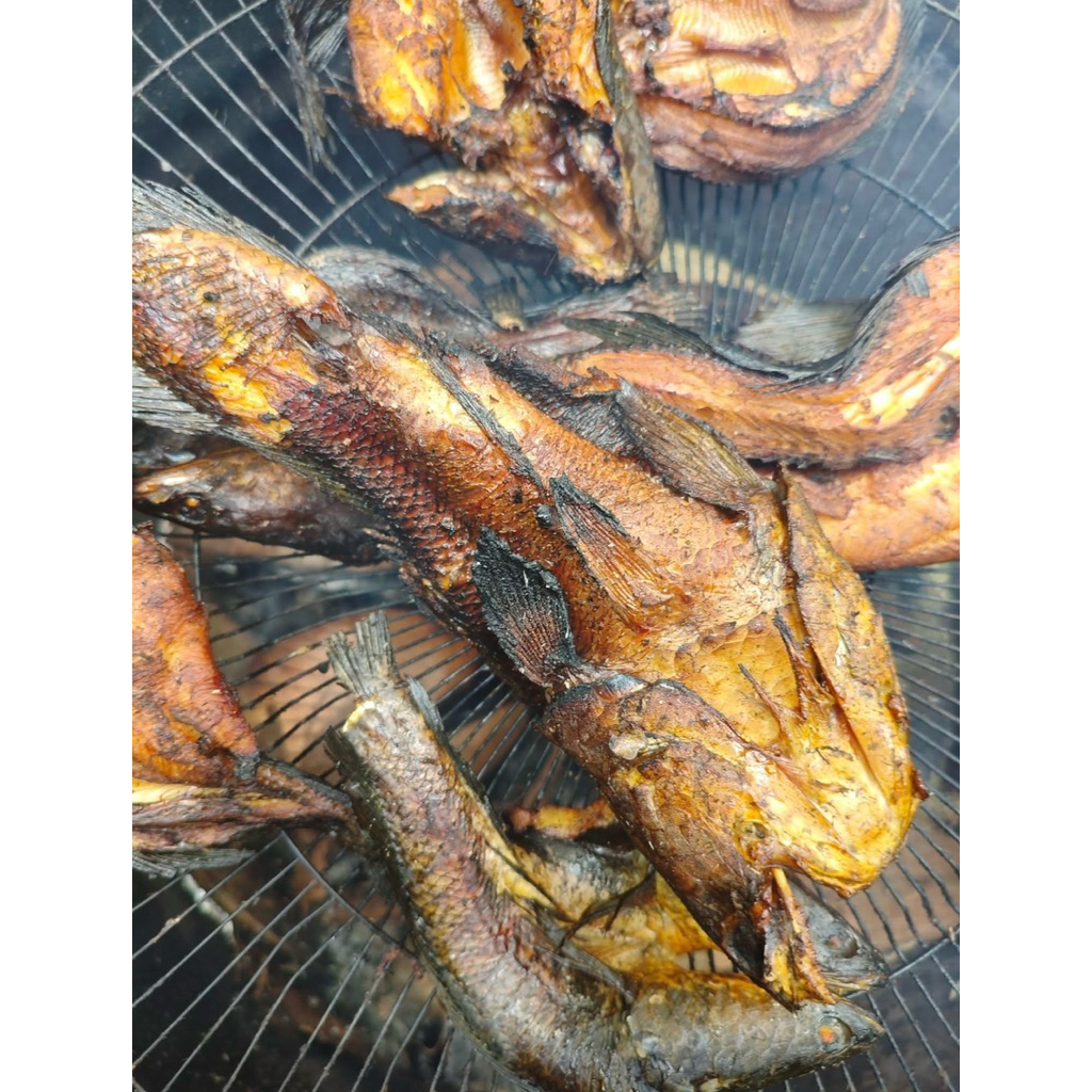 ikan gabus asap / ikan gabus panggang paling murah