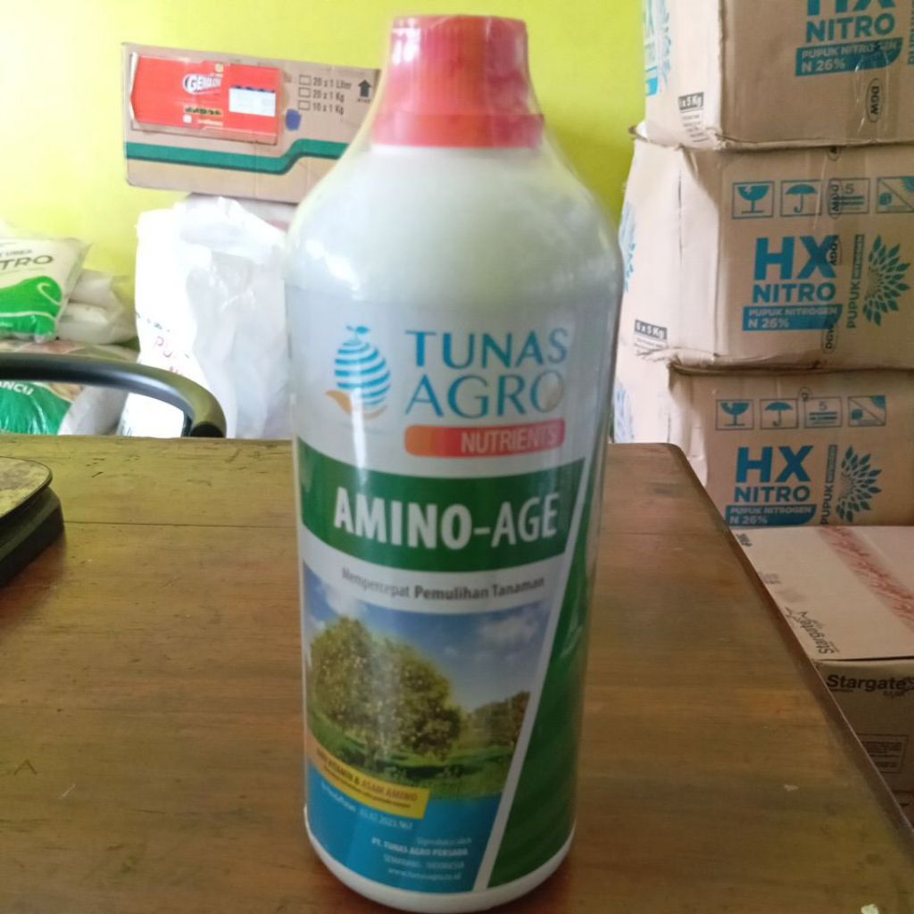 asam amino Amino Age 1ltr